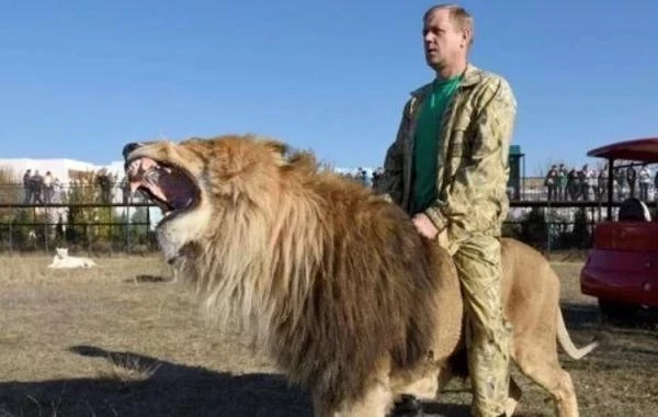 Стало известно нынешнее состояние здоровья Олега Зубкова: свежие данные на сегодня, 02.07.2025