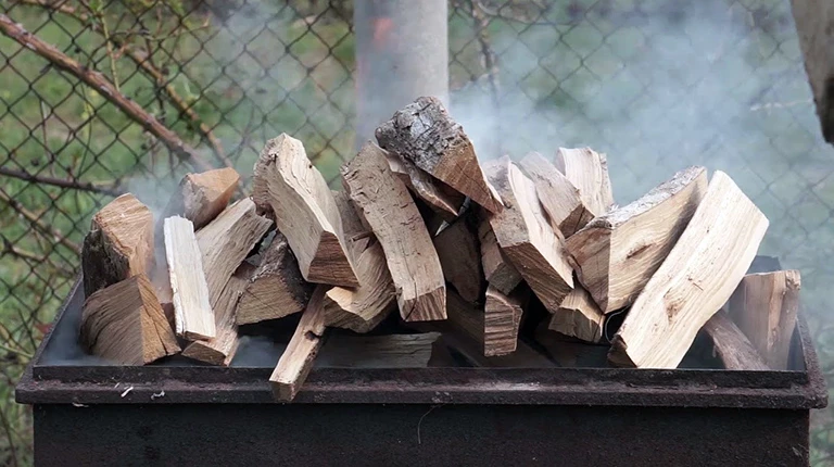 Секрет вкусного и сочного шашлыка: на каких дровах жарить мясо