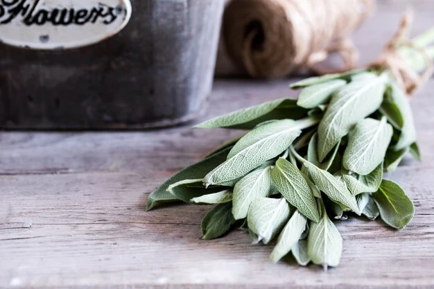 Какое растение мягко закрашивает седина и при это укрепляет волосы