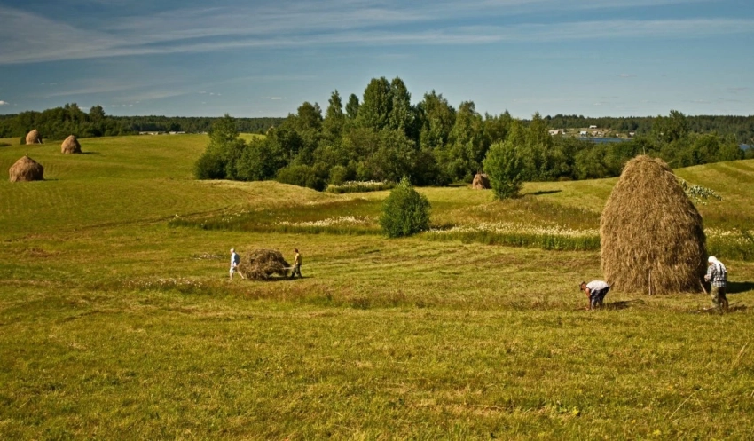 Какой будет весна, расскажут приметы и поверья на 10 сентября 2025 года