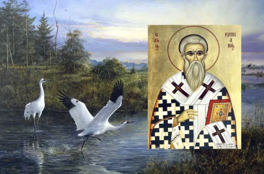 Куприянов день 13 сентября 2025 года: народные приметы и поверья