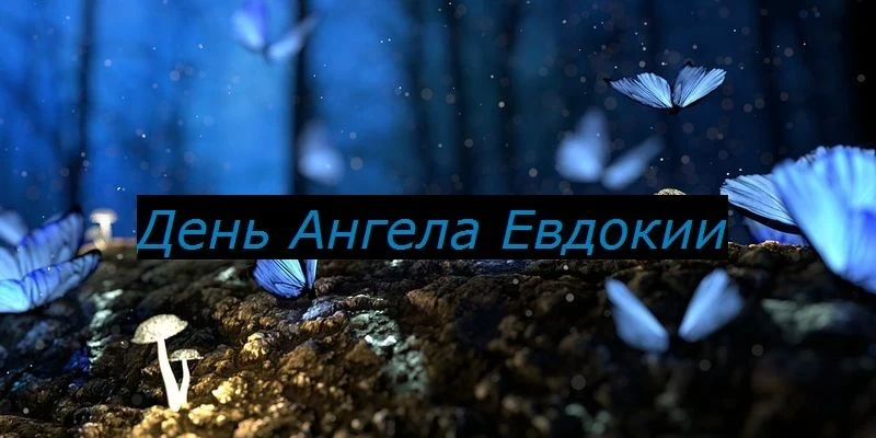 Кто принимает поздравления с Днем ангела 5 февраля 2026 года