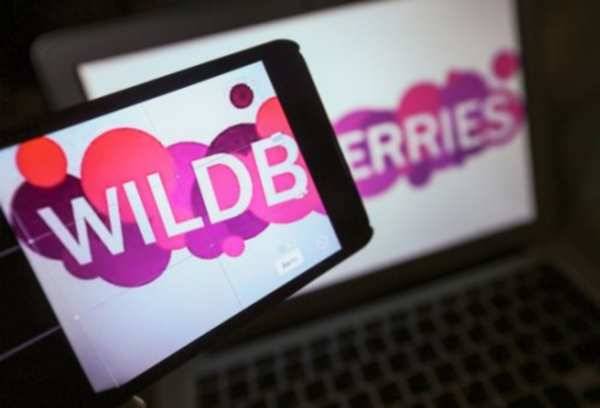 Крупнейшие онлайн-ритейлеры Wildberries и Ozon закрываются до нового года: причины и последствия
