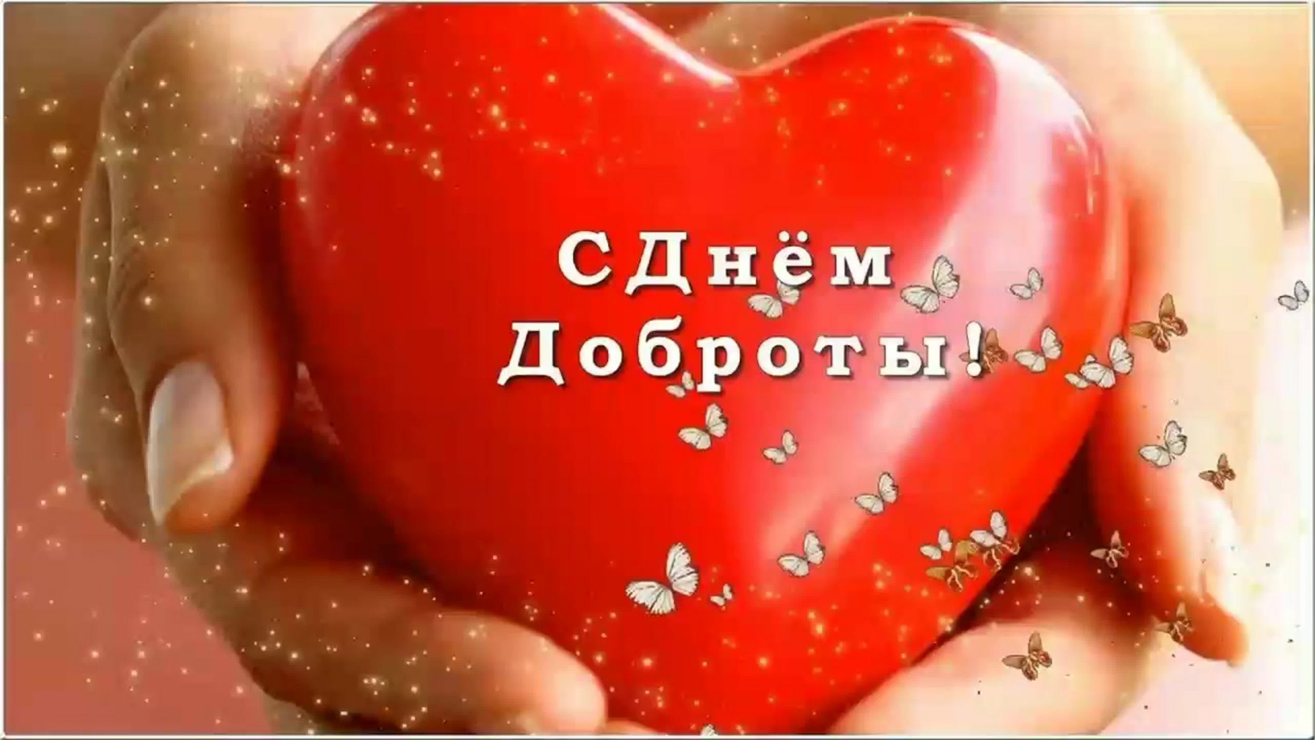 Всемирный день доброты отмечается 13 ноября: история праздника, поздравления в стихах и прозе, открытки